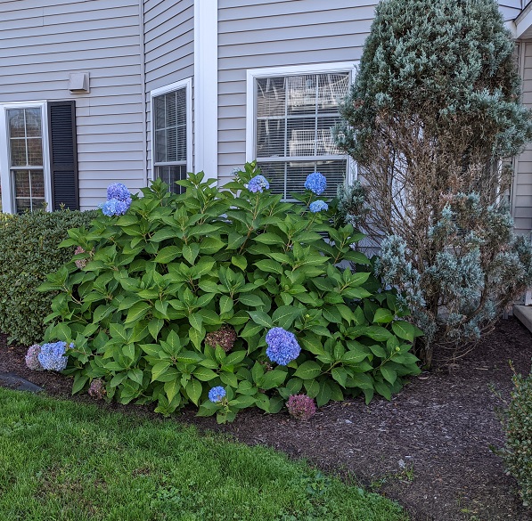 Greenleaves Realty Group